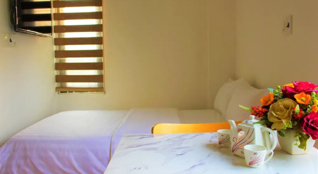 Двухместный номер Economy с балконом и с видом на город Lion Apartment