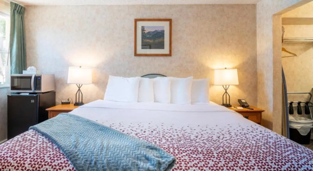 Номер Economy Swiss Alps Inn