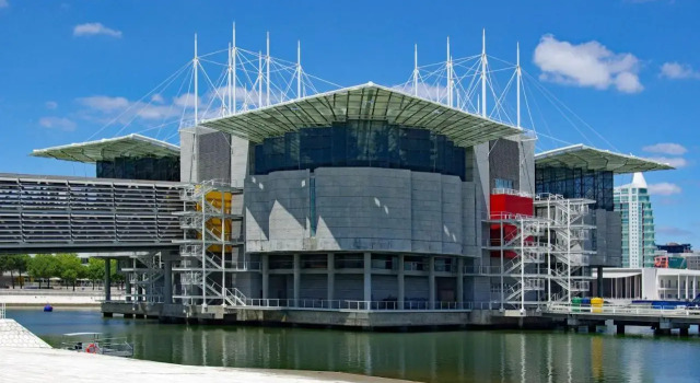 Go Native Lisbon - VIP City Center