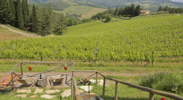 Коттедж Chianti Hillside Farmhouse