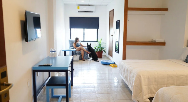 Четырёхместный номер Standard Hotel & Suites Arges - Centro Chetumal