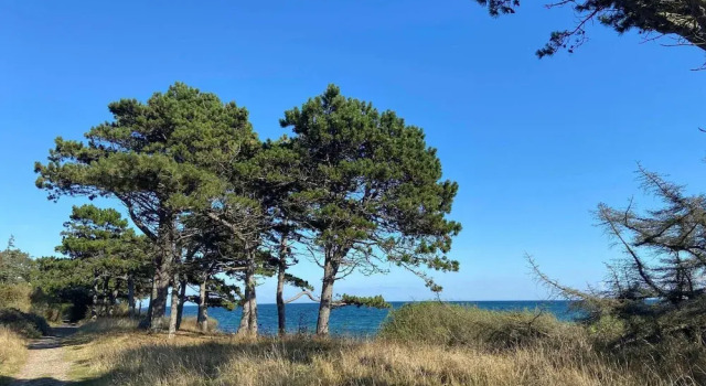 Коттедж 5 Star Holiday Home in Vejby
