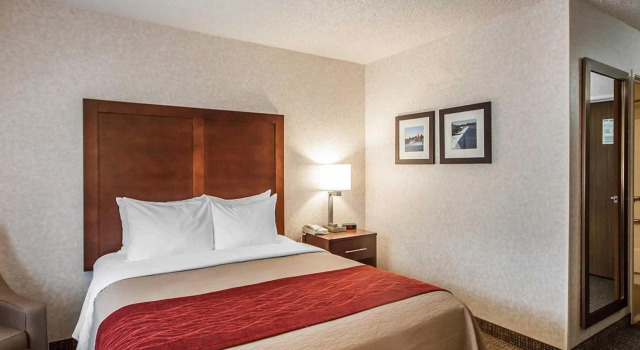 Standard Zimmer Quality Inn