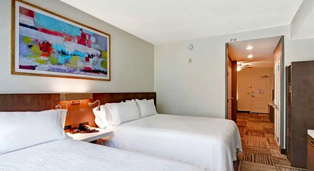 Двухместный люкс Hilton Garden Inn Mobile East Bay / Daphne