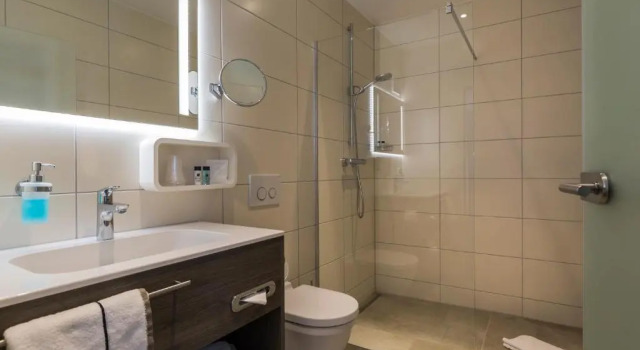 Двухместный номер Business Hotel Hirsch
