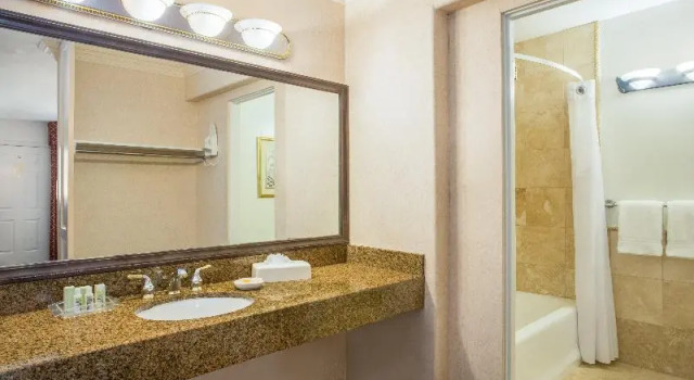 Номер Standard Holiday Inn Laguna Beach