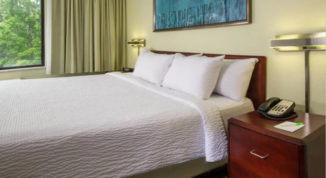 Студия SpringHill Suites Raleigh-Durham Airport/Research Triangle Park