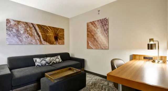 Люкс SpringHill Suites by Marriott Lexington Near the University of Kentucky