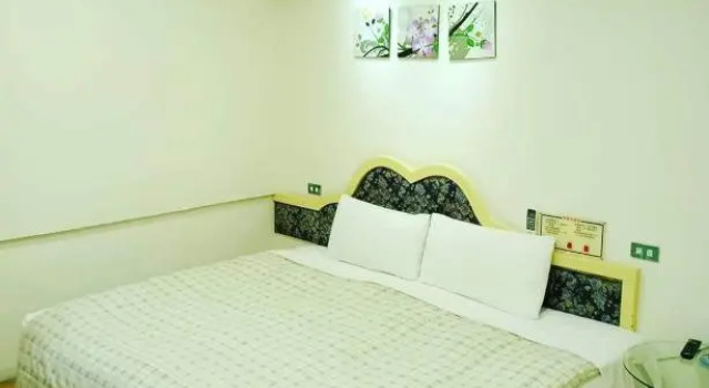 Двухместный номер Standard 花蓮新格大飯店-部分房型 保證車位 Hualien Synco Hotel