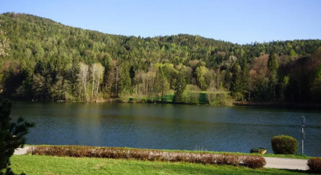 Полулюкс Landgasthof Trattnig