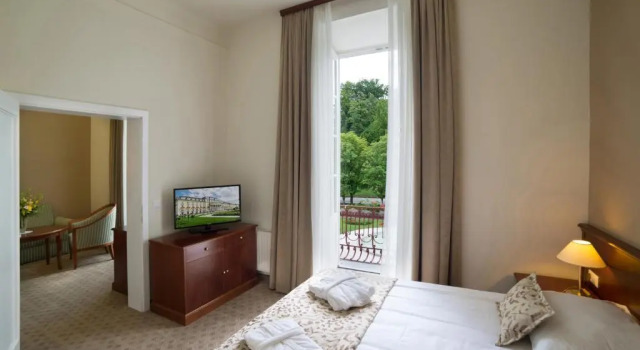 Люкс Premium с видом на сад Отель Grand Hotel Rogaška