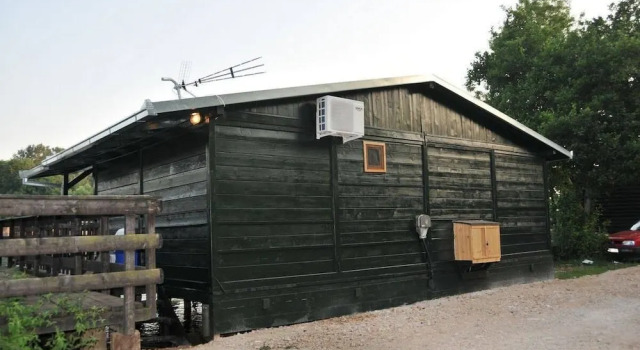 Caushi Studio Ada Bojana