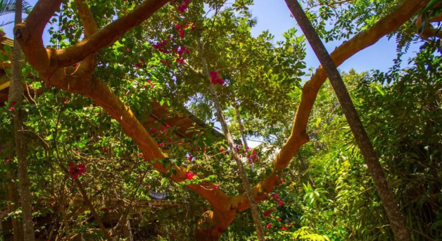 Номер Standard Yacumaman Sanctuary