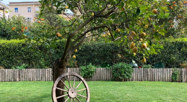 Номер Standard Giardino Sorrentino