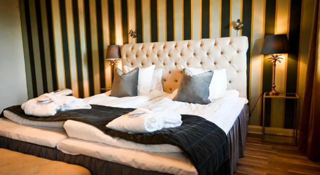Двухместный номер Standard Palace Hotell