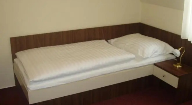 Номер Standard Hotel Altenberg