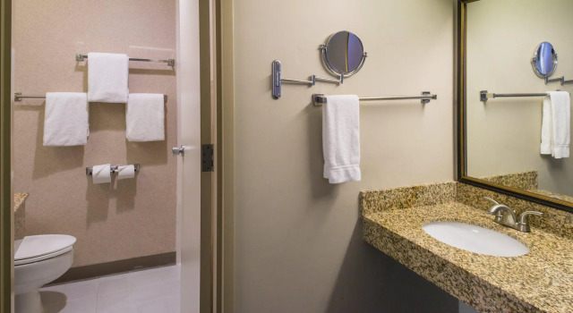 Четырёхместный номер Standard Holiday Inn Dublin - Pleasanton by IHG