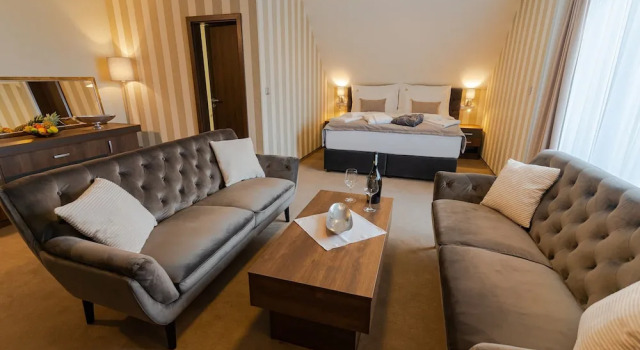 Двухместный люкс Presidential Hotel Demänová Apartments