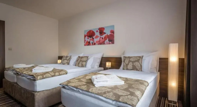Номер Standard Hotel SATEL
