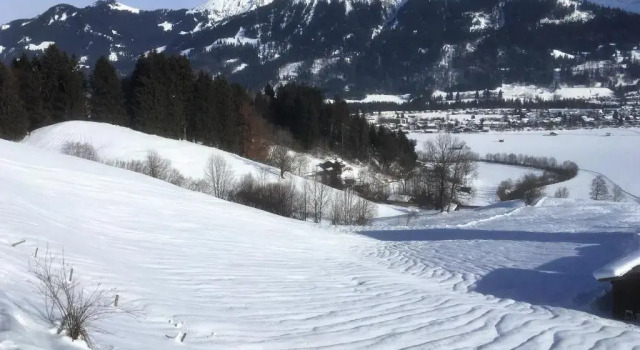 Апартаменты Alpenflair Ferienwohnung Whg 108