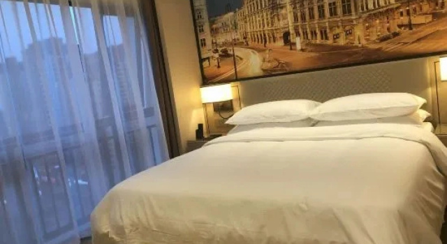 Люкс Business Vienna International Hotel ( Longchang Jinsha Times Square Branch）