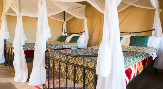 Serengeti Wildebeest Camp, Réserver Hôtel Seronera Tanzanie