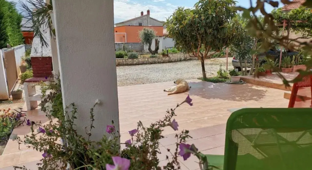 Апартаменты Apartment Flower near Medulin
