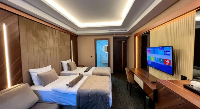 Двухместный номер Standard THE PARK HOTEL
