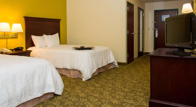 Четырёхместный номер Standard Hampton Inn Frankfort