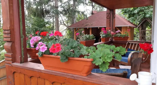 Székely ház, Boek Vakantiehuis Praid Mureş