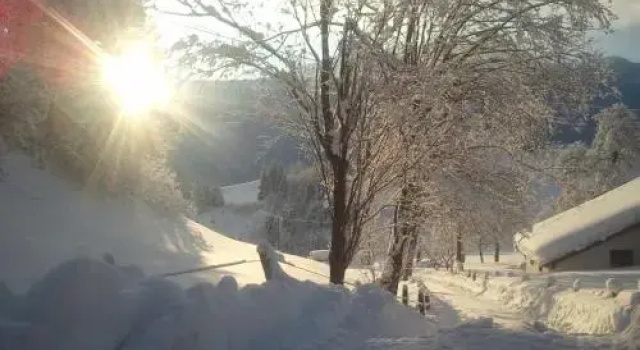Stanglegger, Prenota Hotel Jenbach Achensee