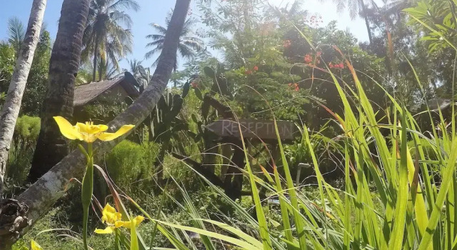 Семейная вилла с 2 комнатами Rinjani Beach Eco Resort