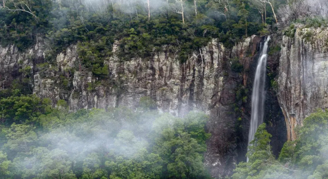 Ruah Rain Forest Retreat, Book Hotel Bonogin Queensland