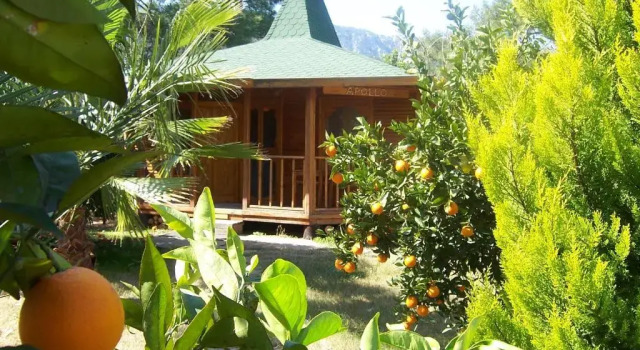Бунгало Arcadia Hotel