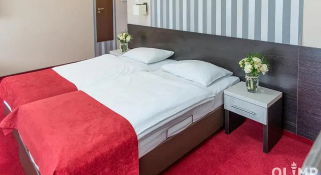 Двухместный номер Standard Hotel Olimp