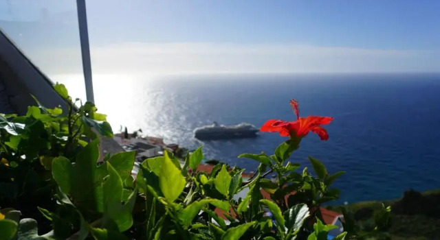 Villa Babel, Boek Villa Caniço Madeira