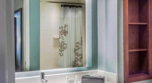 Люкс с 2 комнатами Residence Inn by Marriott Charlottesville Downtown