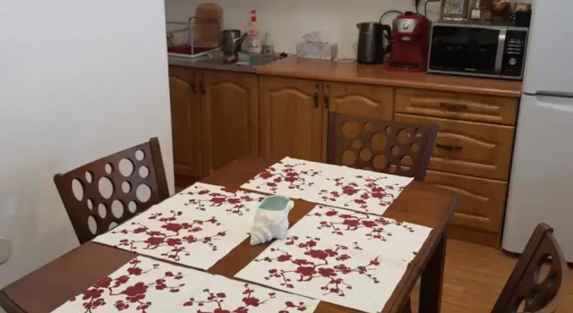 Homey 1-bed condo, fastest internet, free parking