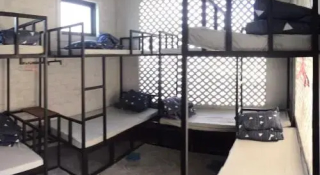 Cá Home