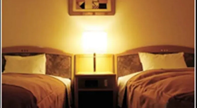 Двухместный номер Standard Hirosaki Plaza Hotel