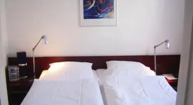 Двухместный номер Standard Hotel & Restaurant Raisch