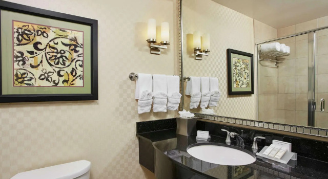 Двухместный номер Standard Hilton Garden Inn Rockville - Gaithersburg