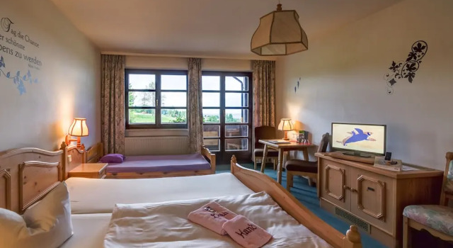 Номер Standard Berggasthof & Hotel Hinterrod