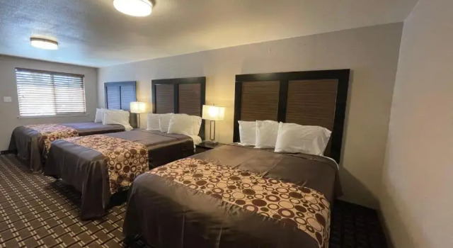 Семейный номер Standard Beverly Lodge
