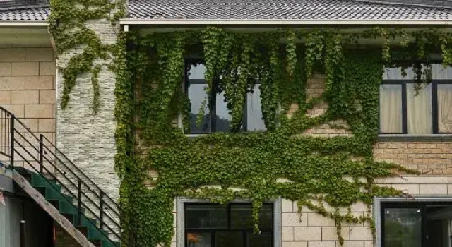 HeYun Guesthouse, Rezerwuj Hotel Hotele w Hangzhou z basenem, Basen