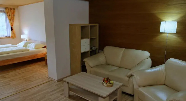 Номер Comfort Hotel Alpenhaus Evianquelle
