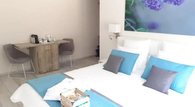 Номер Standard B&B Blue Garden