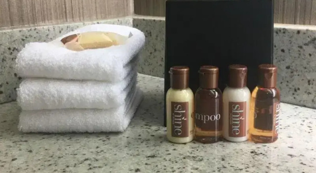 Четырёхместный номер Standard Sheraton Minneapolis West Hotel