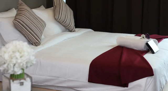 Полулюкс с видом на город Nexus Regency Suites & Hotel