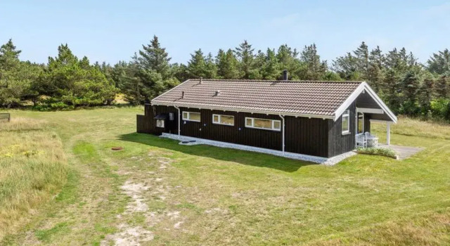 "Rui" - 800m from the sea in NW Jutland